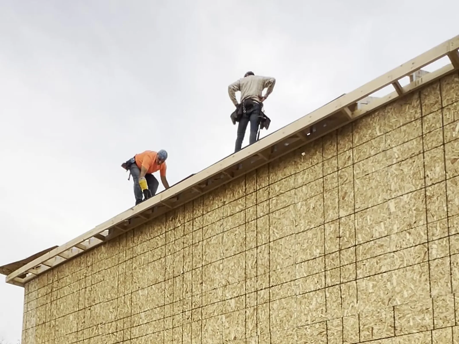 Framers working the top plate of a sheathed two story wall, new build, Troy MI